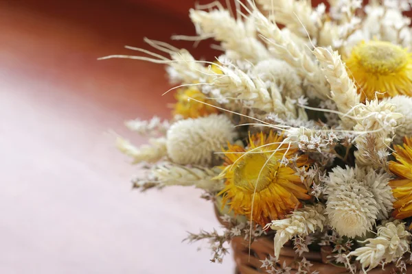 Gedroogde bloemen boeket — Stockfoto