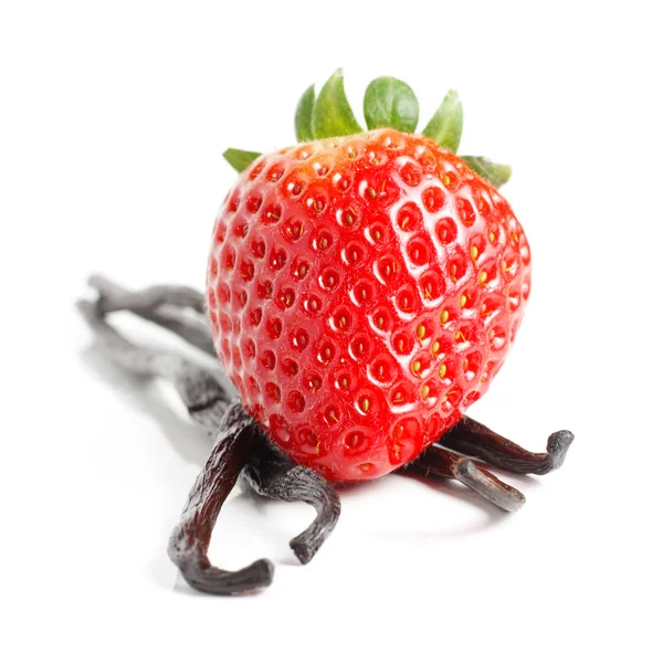 Erdbeere und Vanille — Stockfoto
