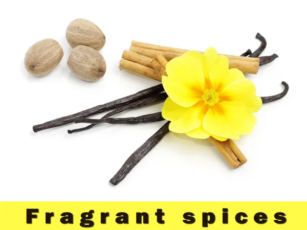 stock image Spices with primrose flower