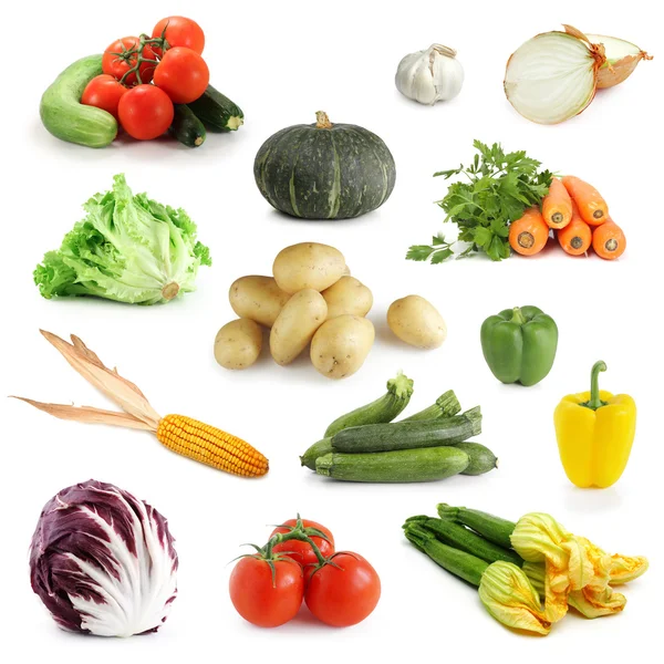 stock image Vegetable collection