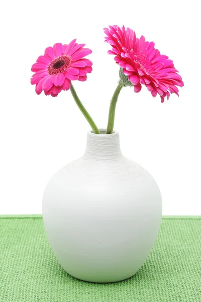 Dos flores de gerberas rosadas en jarrón blanco — Foto de Stock