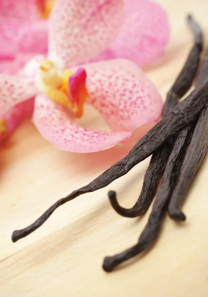 Vanilla beans and orhid flower — Stock Photo, Image