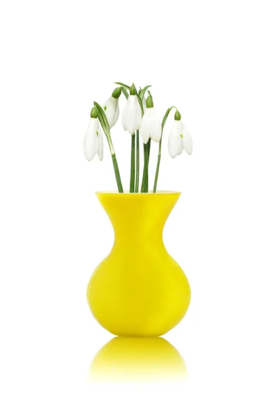 Snödroppe blommor i gul vas — Stockfoto