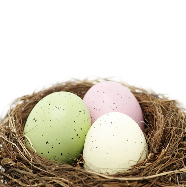 Ovos de Páscoa no verdadeiro ninho de pássaros — Fotografia de Stock