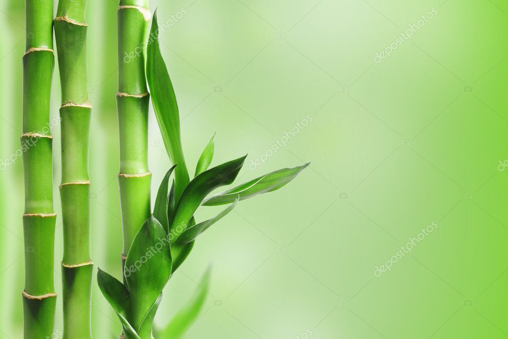 Green bamboo background Stock Photo by ©jrp_studio 7104716