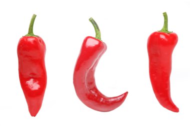 Chilli peppers clipart