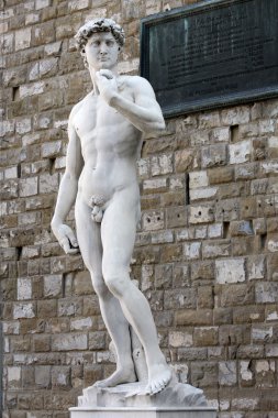 Michelangelo'nun David