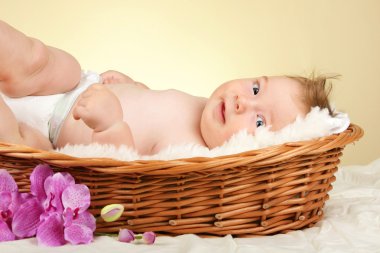 hasır sepet içinde bebek