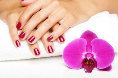 Beautiful hands with manicure clipart