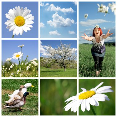 Spring collage clipart