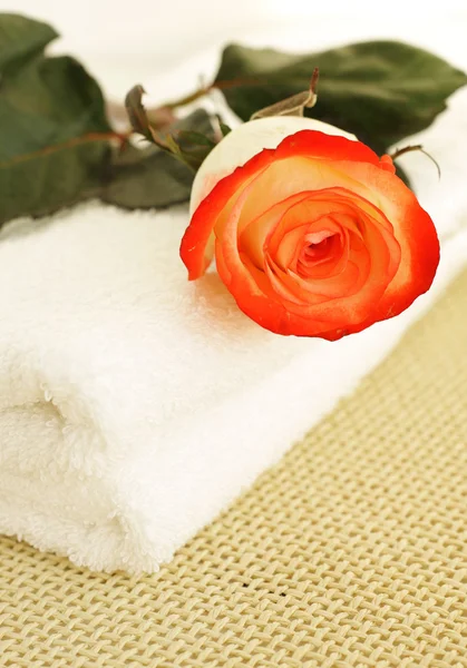 Ręcznik i róża — Zdjęcie stockowe