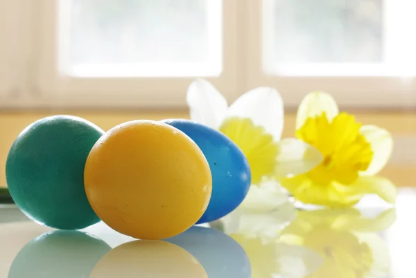 Ovos de Páscoa pintados e Daffodils — Fotografia de Stock