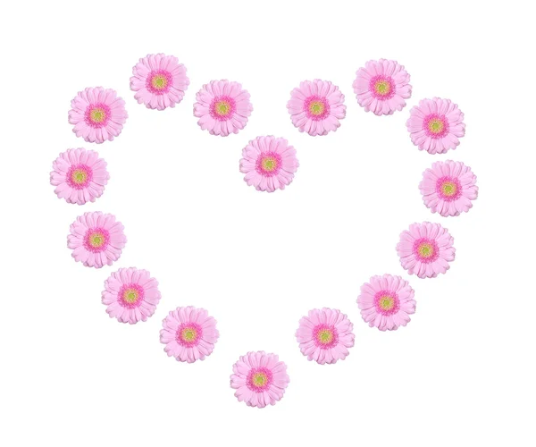 Gerbera cuore fiori — Foto Stock