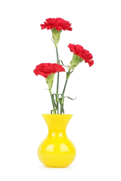 Три гвоздичных цветка в вазе — стоковое фото
