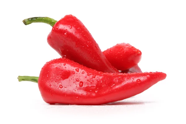 Chilly peppers — Zdjęcie stockowe