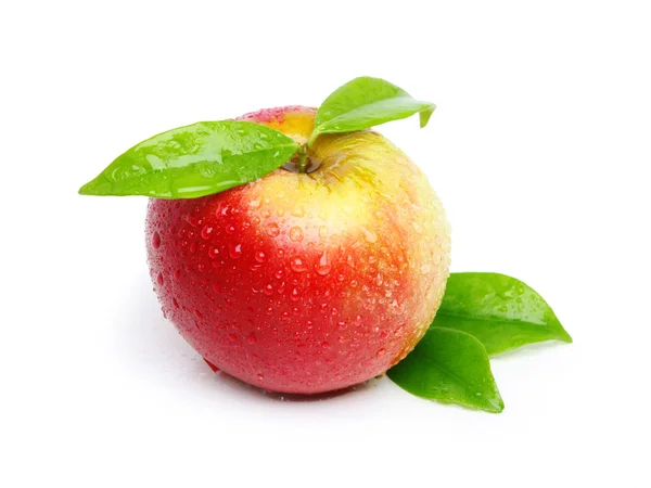 水滴付きの赤いリンゴ — ストック写真