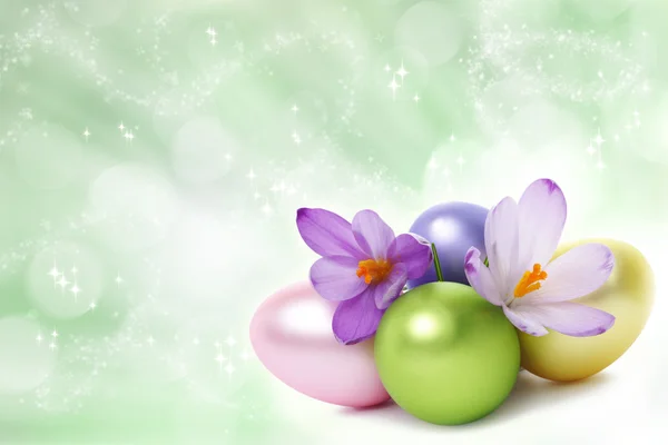 Ovos de Páscoa com flores de croco — Fotografia de Stock