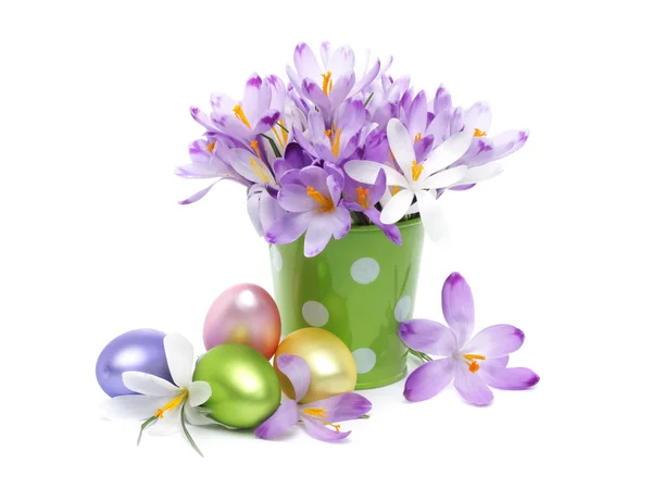 Crocus blommor och påskägg — Stockfoto