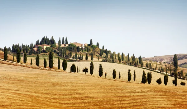 Typisch landschap in Toscane — Stockfoto