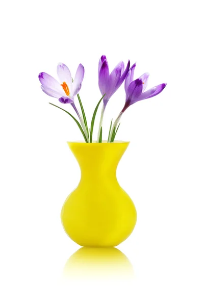 Krokusblüten in gelber Vase — Stockfoto