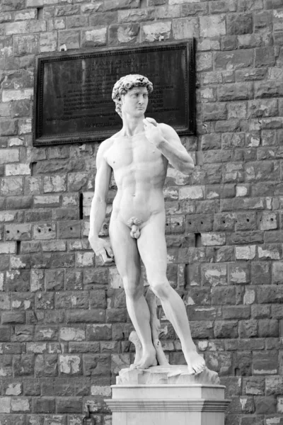 Michelangelos David — Stockfoto