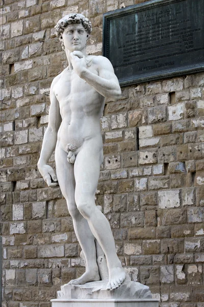 stock image Michelangelo's David