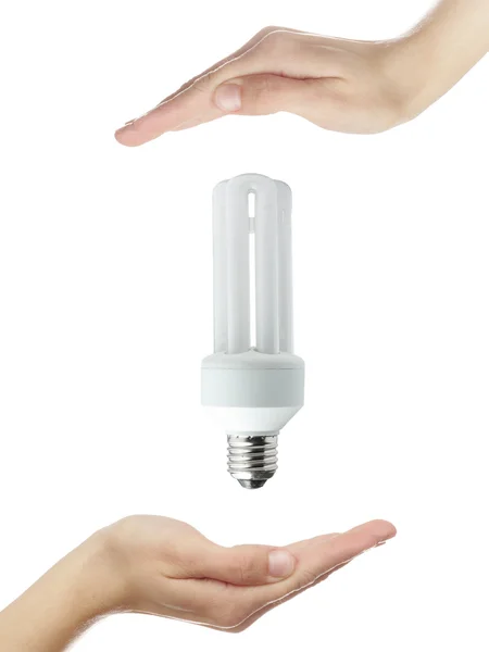 Mãos das mulheres protegendo lâmpada economizadora de energia — Fotografia de Stock