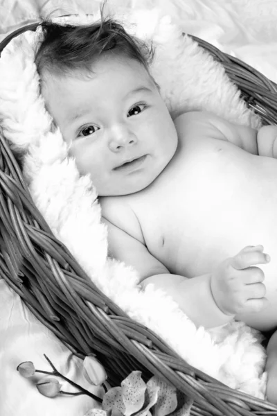 Adorable baby in wicker basket — Stock Photo, Image