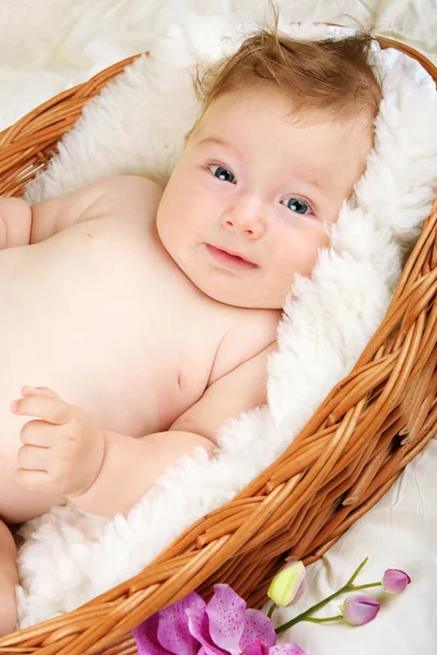 Adorable baby in wicker basket — Stock Photo, Image