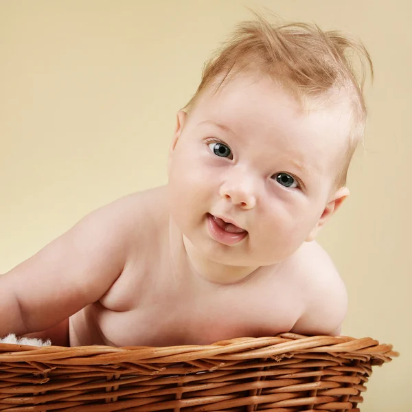 Bebê adorável em cesta de vime — Fotografia de Stock