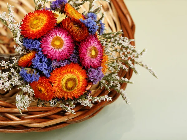 Gedroogde bloemen — Stockfoto