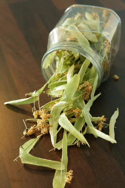 Dried linden flowers — Stock Photo, Image