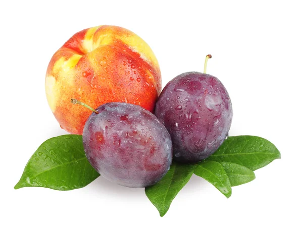 Peach and plums — Stockfoto
