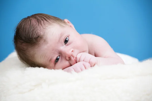 Nou-născutul adorabil — Fotografie, imagine de stoc