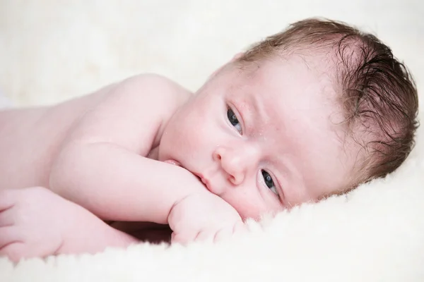 Adorable newborn — Stock Photo, Image
