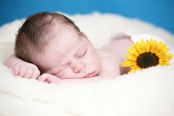 Bedårande nyfödd — Stockfoto