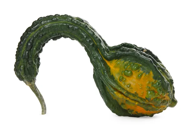 Citrouille décorative — Photo