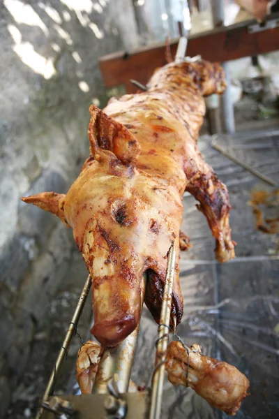 ızgara emzirmeyi pig