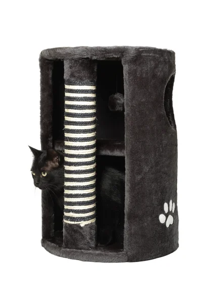 Gato preto em cinza gato scratcher — Fotografia de Stock