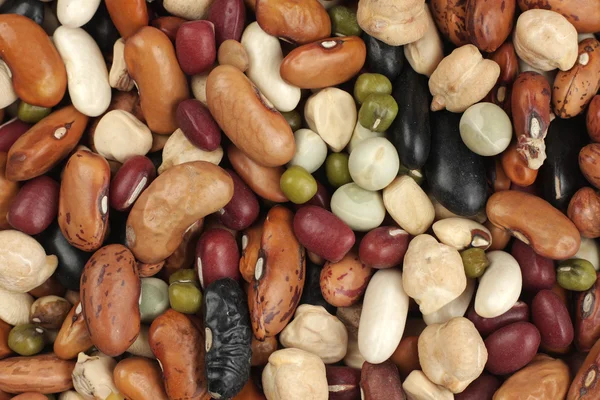 种不同的豆子的混合物 — 图库照片