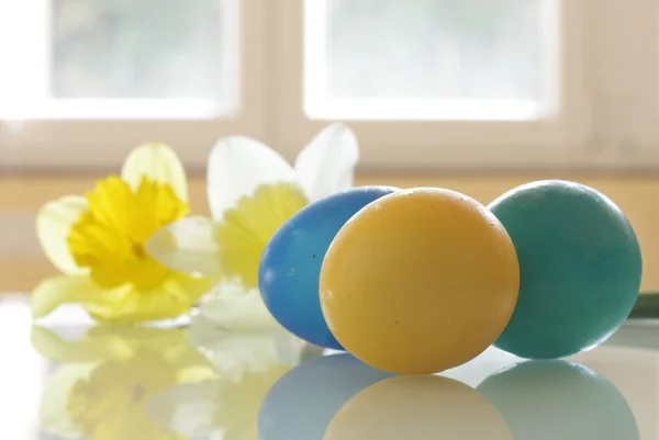 Festett húsvéti tojásokat és nárcisz — Stock Fotó