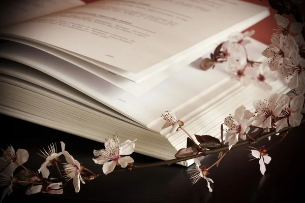 Öppna boken och blossom filial — Stockfoto