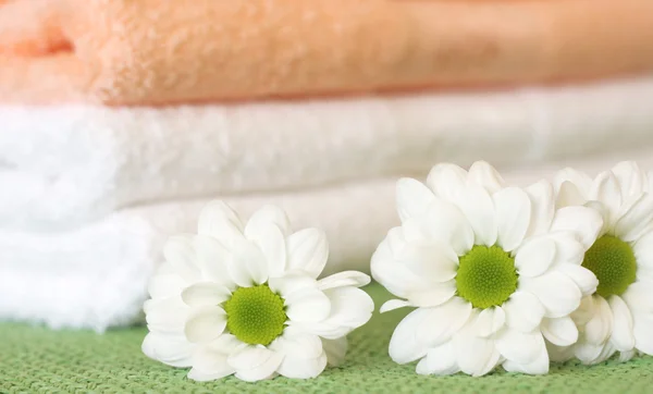 Trzy kwiaty daisy i ręczniki — Zdjęcie stockowe