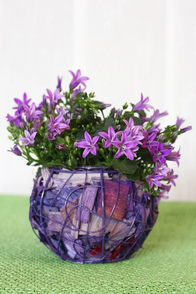 Små violetta blommor — Stockfoto