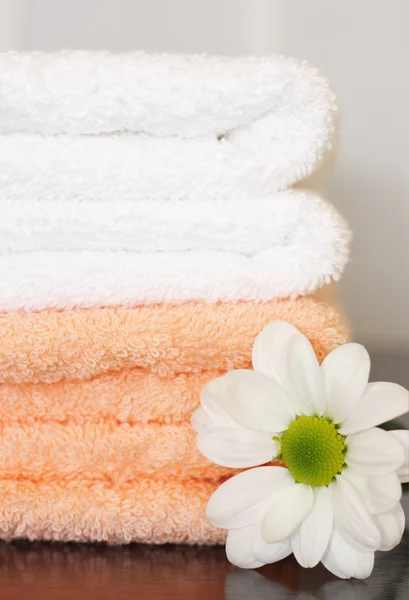 Czyste ręczniki i stokrotka — Zdjęcie stockowe