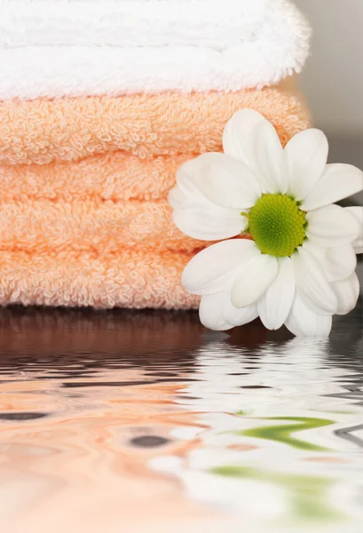 Schone handdoeken en daisy — Stockfoto