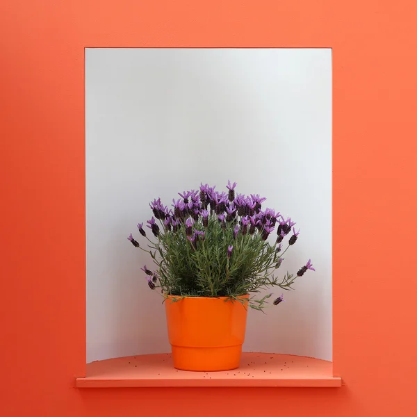 Fiore di decorazione viola in vaso arancione — Foto Stock
