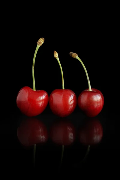 Tre ciliegie — Foto Stock