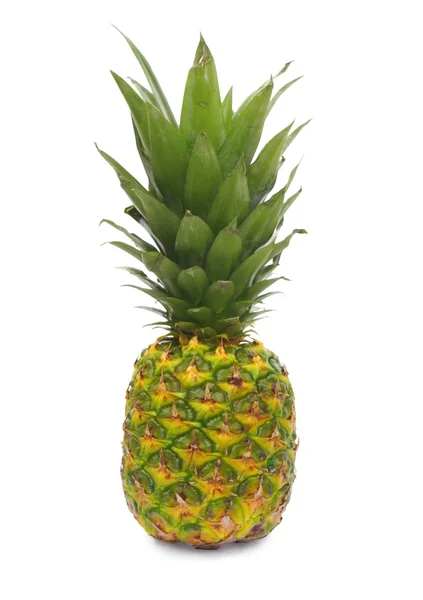 Pinapple frukt — Stockfoto