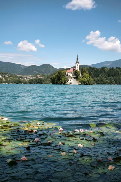 Bled Island in Slovenia — Stock Photo, Image